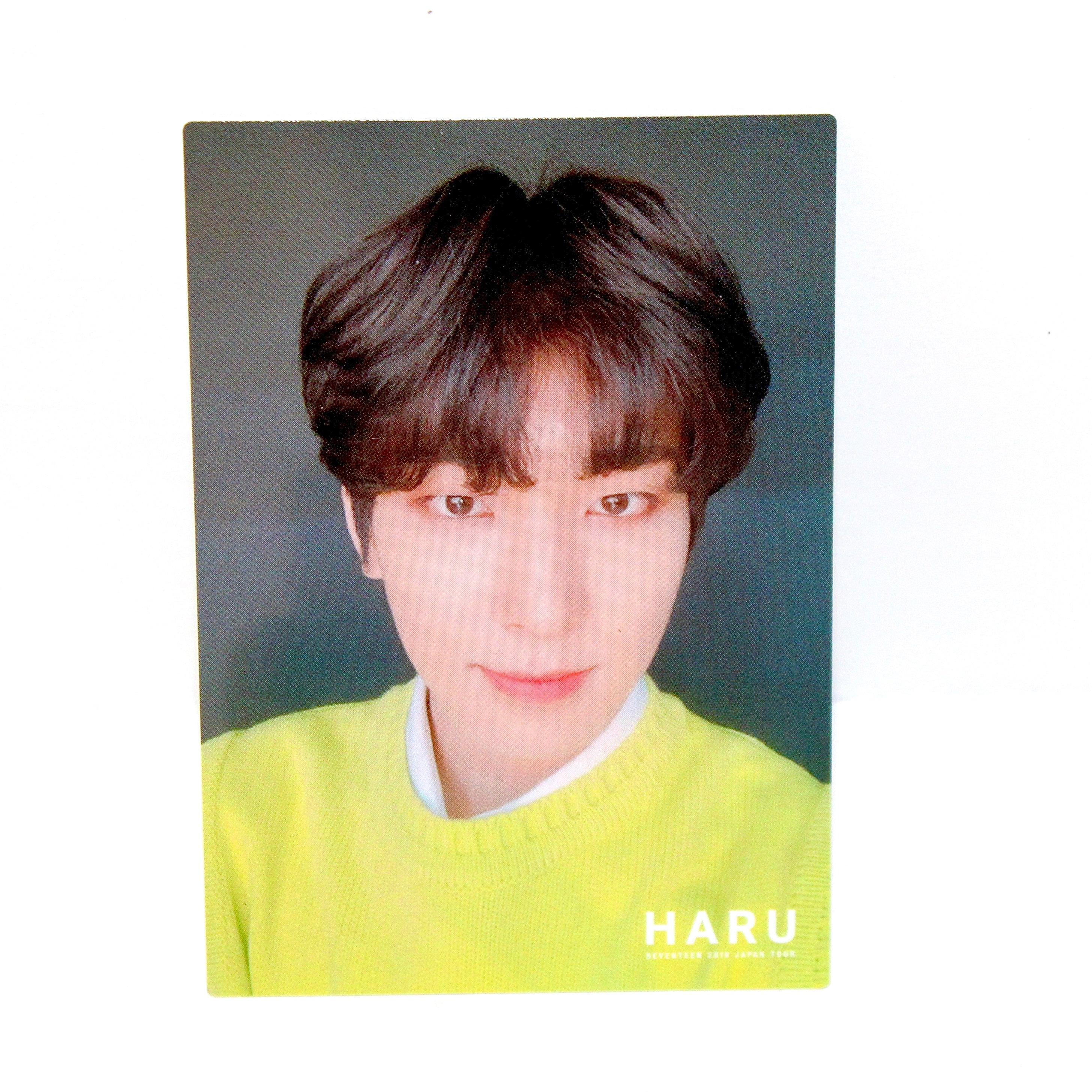 SEVENTEEN 2019 Japan Tour: HARU | PCs